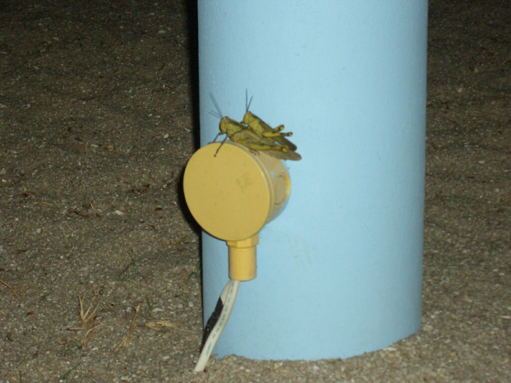 Click to See Next Image